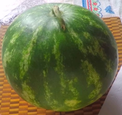 соление арбуза
