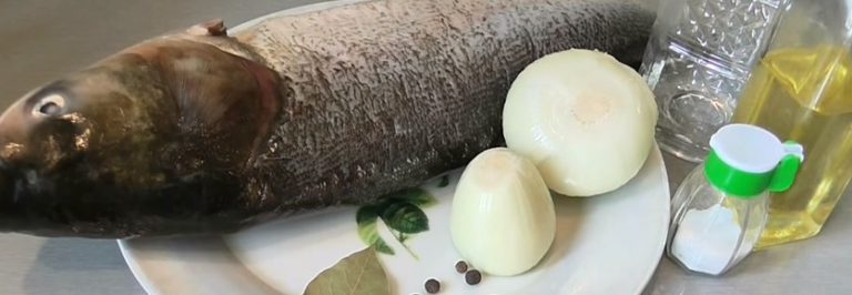 ингредиенты для засолки толстолобика