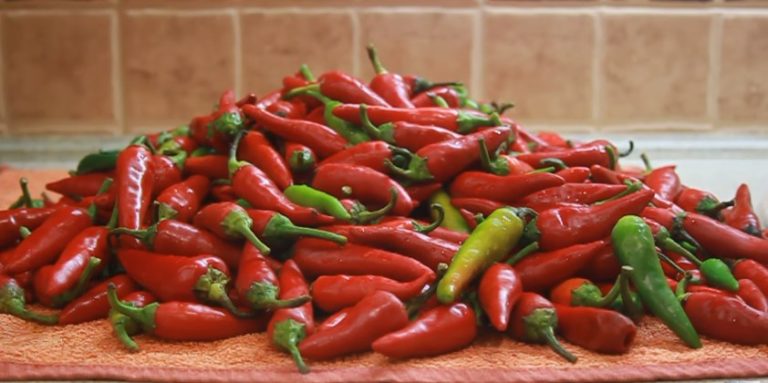 красный перец для маринования