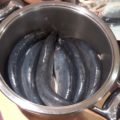 соление селедки в домашних условиях рецепт