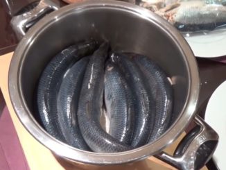 соление селедки в домашних условиях рецепт