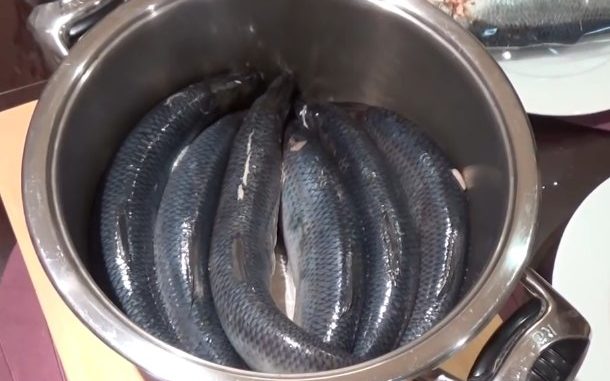 соление селедки в домашних условиях рецепт