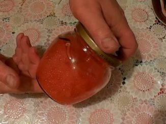 засолка икры форели в домашних условиях рецепт
