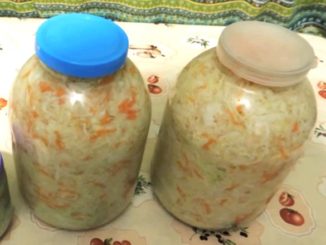 капуста квашенная рецепт быстрого приготовления